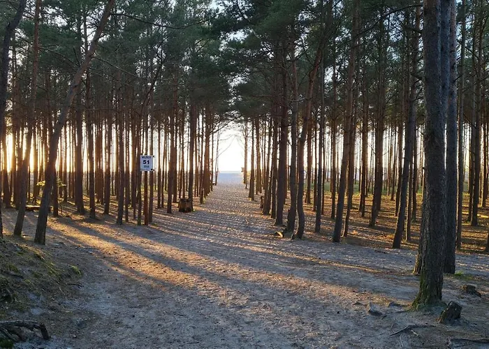 Дом отдыха Sasinko