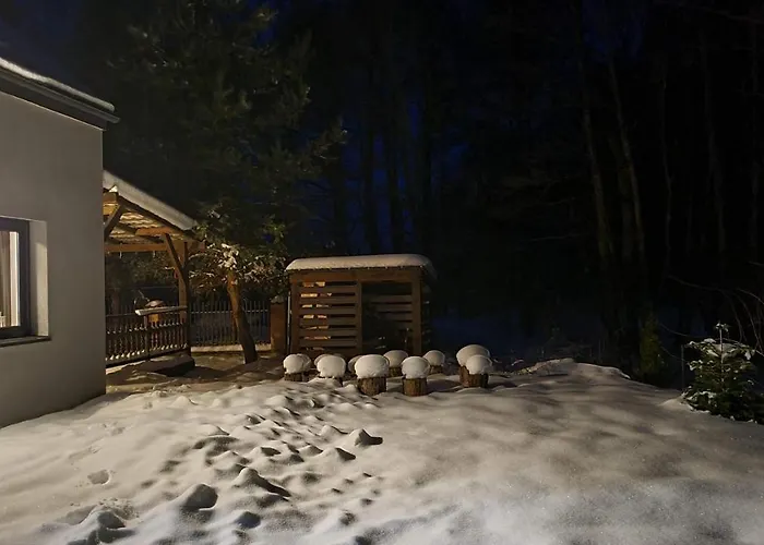 Sasinko Сашино